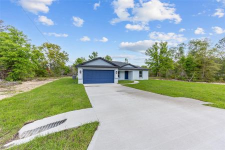 New construction Single-Family house 5 Malauka Loop Trak, Ocklawaha, FL 32179 - image
