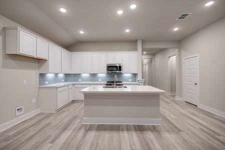 New construction Single-Family house 9331 Pioneer Jct, San Antonio, TX 78254 Morgan- photo 16 16
