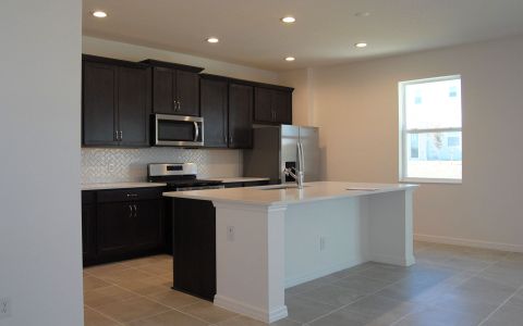 New construction Single-Family house 6805 Serpent Hawk Ln, Leesburg, FL 34748 DeLeon- photo 8 8