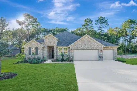 New construction Single-Family house 129 Roebuck Ln, New Waverly, TX 77358 plan Glasgow - image