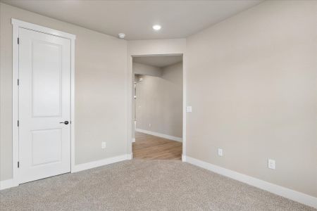 New construction Single-Family house 7716 Clear Amber, Colorado Springs, CO 80908 plan Boxelder - image 16
