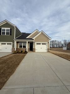 New construction Single-Family house 286 Selesia Ln, Pleasant View, TN 37146 - image