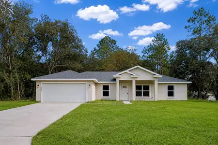 New construction Single-Family house 1516 W Pringle Pl, Citrus Springs, FL 34434 - image