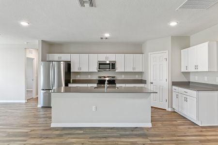 New construction Single-Family house 12842 Canter Call Rd, Lithia, FL 33547 null- photo 7 7