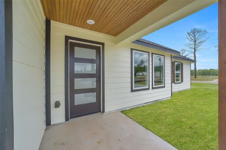 New construction Single-Family house 11702 Kelvin Ct, Conroe, TX 77306 - image 4