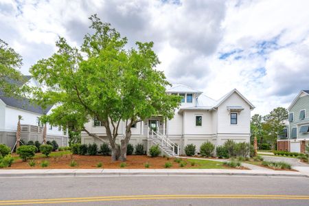 New construction Single-Family house 835 Dunham Street, Charleston, SC 29492 - photo 83 83