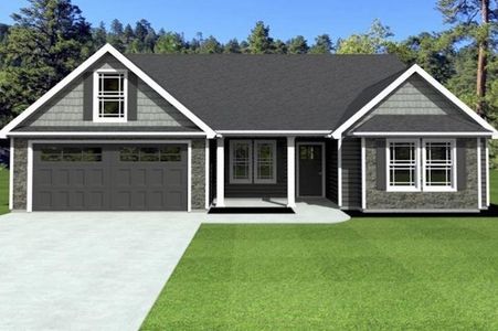 New construction Single-Family house 599 Adventure Isla Wy, Campobello, SC 29322 - image