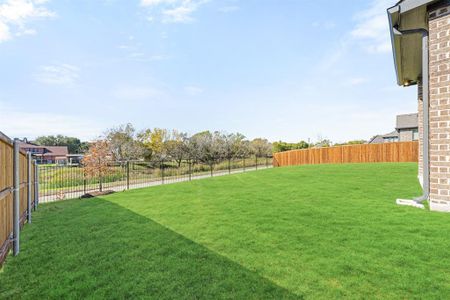 New construction Single-Family house 308 Mandarin Cir, Wylie, TX 75098 null- photo 31 31