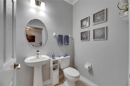 New construction Single-Family house 5026 Bromeliad Ave, Wimauma, FL 33598 Salinas- photo 12 12