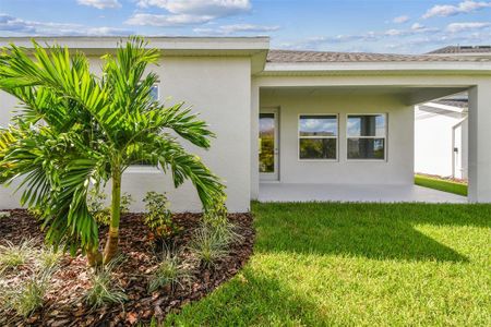 New construction Single-Family house 10653 Crescent Creek Xing, Parrish, FL 34219 plan The Sanborn - image