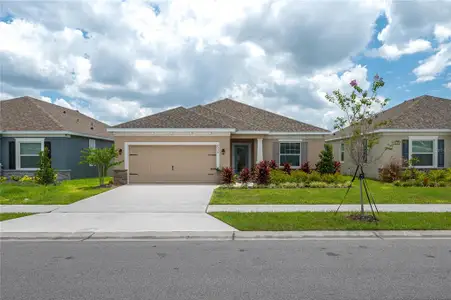 New construction Single-Family house 2334 Selenia St, Lake Alfred, FL 33850 null- photo 0