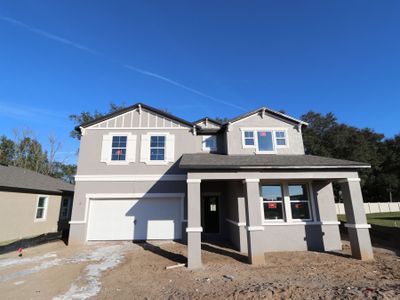 New construction Single-Family house 11984 Hilltop Farms Dr, Dade City, FL 33525 Casanova- photo 67 67