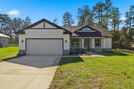 New construction Single-Family house 15117 Sw 66Th Avenue Rd, Ocala, FL 34473 - image
