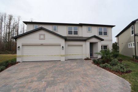 New construction Single-Family house 20125 Oriana Loop, Land O' Lakes, FL 34638 Santina II- photo 166 166