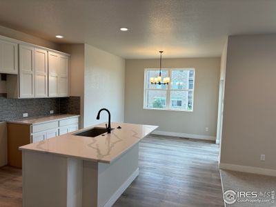 Wilson Commons by Aspen Homes in Loveland - photo 16 16