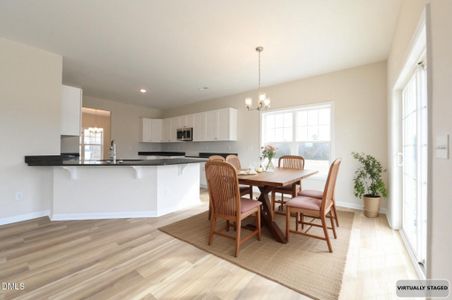 New construction Single-Family house 423 Black Duck Ln, Unit (Lot 100), Lillington, NC 27546 - image 11