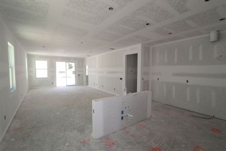 New construction Single-Family house 9492 Crescent Ray Dr, Wesley Chapel, FL 33545 Picasso- photo 23 23