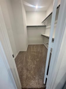 New construction Single-Family house 408 Cedar Chase Ct, Dayton, TX 77535 - image 18