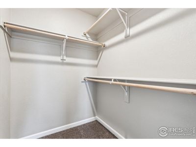 New construction Duplex house 275 Shoveler Wy, Johnstown, CO 80534 plan Congaree - image 17