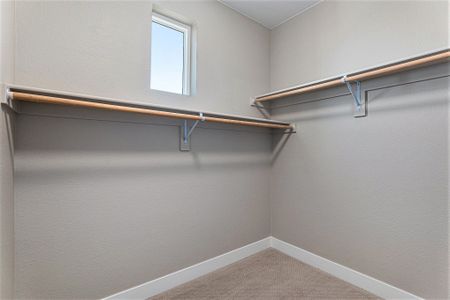 New construction Multi-Family house 888 S Valentia St, Unit 14-101, Denver, CO 80247 B Plan- photo 34 34