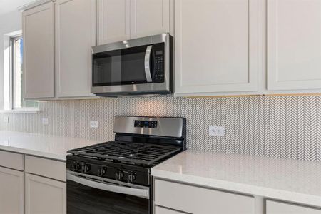 New construction Single-Family house 4529 Blue Mist Dr, Fort Worth, TX 76036 plan Delta - image 7