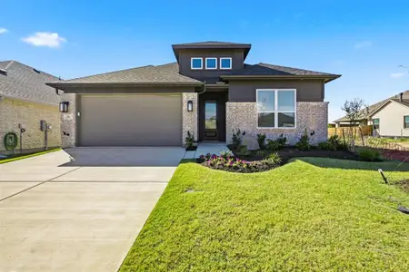 New construction Single-Family house 3700 Hickory St, Sherman, TX 75092 plan Matisse Plan - image