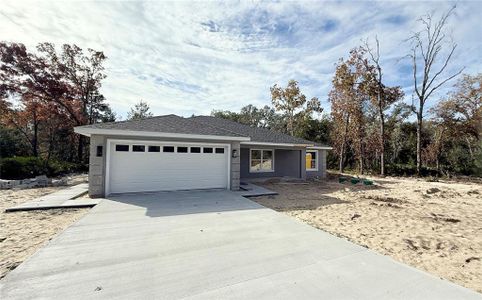 New construction Single-Family house 120 Guava Pass, Ocklawaha, FL 32179 - image