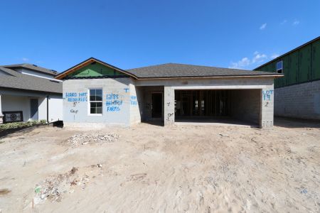 New construction Single-Family house 12188 Hilltop Farms Dr, Dade City, FL 33525 Ventura- photo 23 23