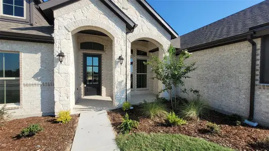 New construction Single-Family house 6841 Hayes Rd, Midlothian, TX 76065 - image 3