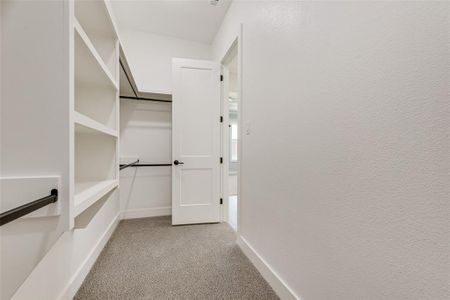 New construction Single-Family house 1327 Shelby Rd, Van Alstyne, TX 75495 - image 10