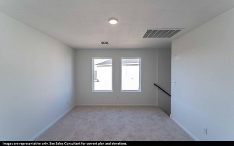 New construction Single-Family house 716 Barbary Coast Ln, Jarrell, TX 76537 plan Elm - image 10