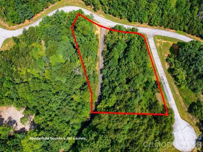 New construction Single-Family house 142 Elkton Ct, Mill Spring, NC 28756 - image 7