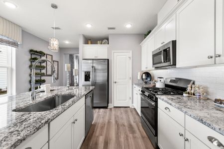 New construction Single-Family house 26 Owenlee Ct, Nocatee, FL 32081 plan The Apopka - image 18