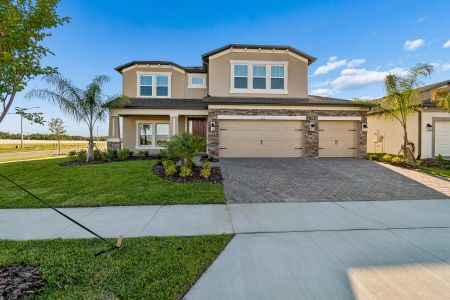 New construction Single-Family house 5615 Freesia Dr, Lakeland, FL 33811 plan Alenza - image