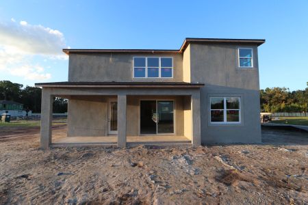 New construction Single-Family house 20288 Oriana Loop, Land O' Lakes, FL 34638 Coronado II- photo 56 56