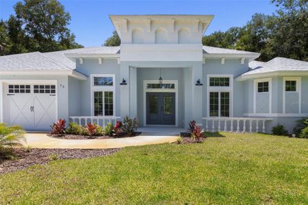 New construction Single-Family house 73 Bridle Ridge Ct, Flagler Beach, FL 32136 - image