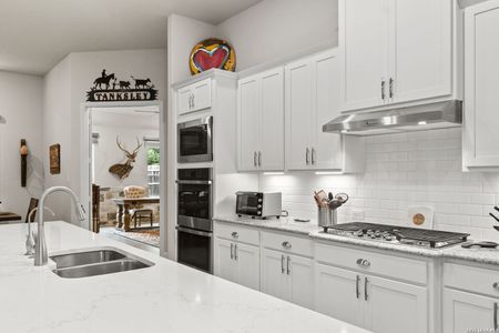 New construction Single-Family house 29347 Kearney Rdg, Boerne, TX 78015 - image 7