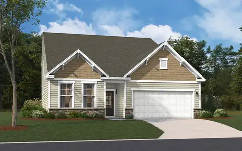 New construction Single-Family house 204 Chapin Place Wy, Chapin, SC 29036 plan The Jefferson - image