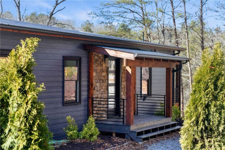 New construction Single-Family house 65 Wolf Creek Hts, Mineral Bluff, GA 30559 - image