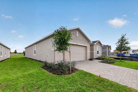 New construction Single-Family house 204 Streamwater Wy, Groveland, FL 34736 plan Cypress - image