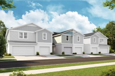 New construction Single-Family house 9902 Pelican Coast Dr, Dade City, FL 33525 - image