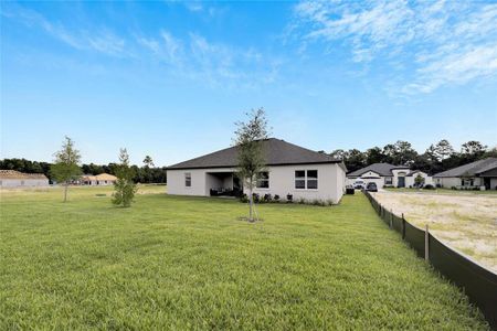 New construction Single-Family house 839 Tierra Dr, Spring Hill, FL 34609 Strabane- photo 47 47