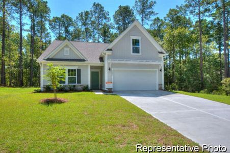 New construction Single-Family house 1013 Toland Dr, Unit 48, St. George, SC 29477 - image