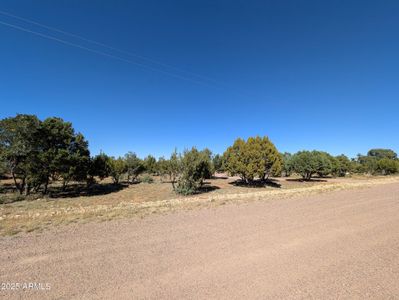 New construction Single-Family house 7267 Red Feather Ct, Happy Jack, AZ 86024 - image 9