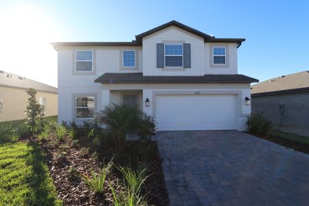 New construction Single-Family house 12219 Hilltop Farms Dr, Dade City, FL 33525 Malibu- photo 99 99