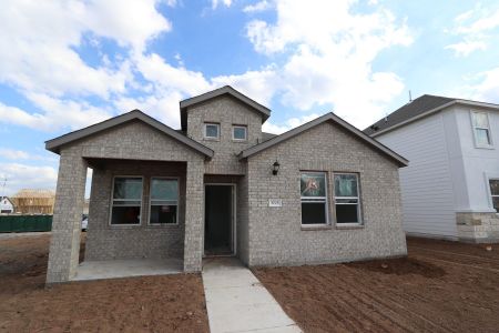 New construction Single-Family house 6608 Turner Coach Trl, Buda, TX 78610 Dandelion- photo 0