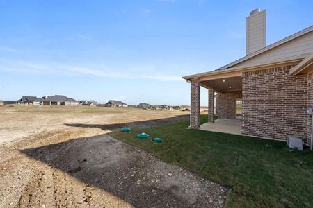 New construction Single-Family house 431 Paradise Ridge Dr, Waxahachie, TX 75167 - image 18