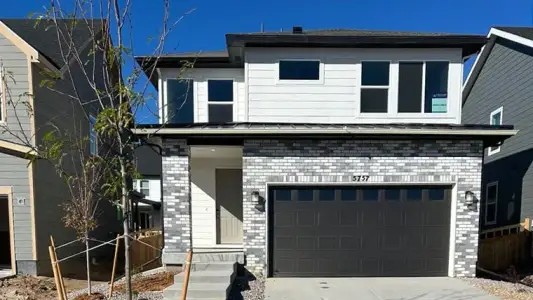 New construction Single-Family house 5757 Yarrow St, Brighton, CO 80601 plan Redwood - image