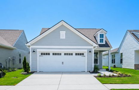 New construction Single-Family house 4177 Yellow Flag Iris St, Leland, NC 28479 plan Contour - image