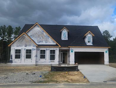 New construction Single-Family house 309 Tack House Road, Huger, SC 29450 Sullivan- photo 0